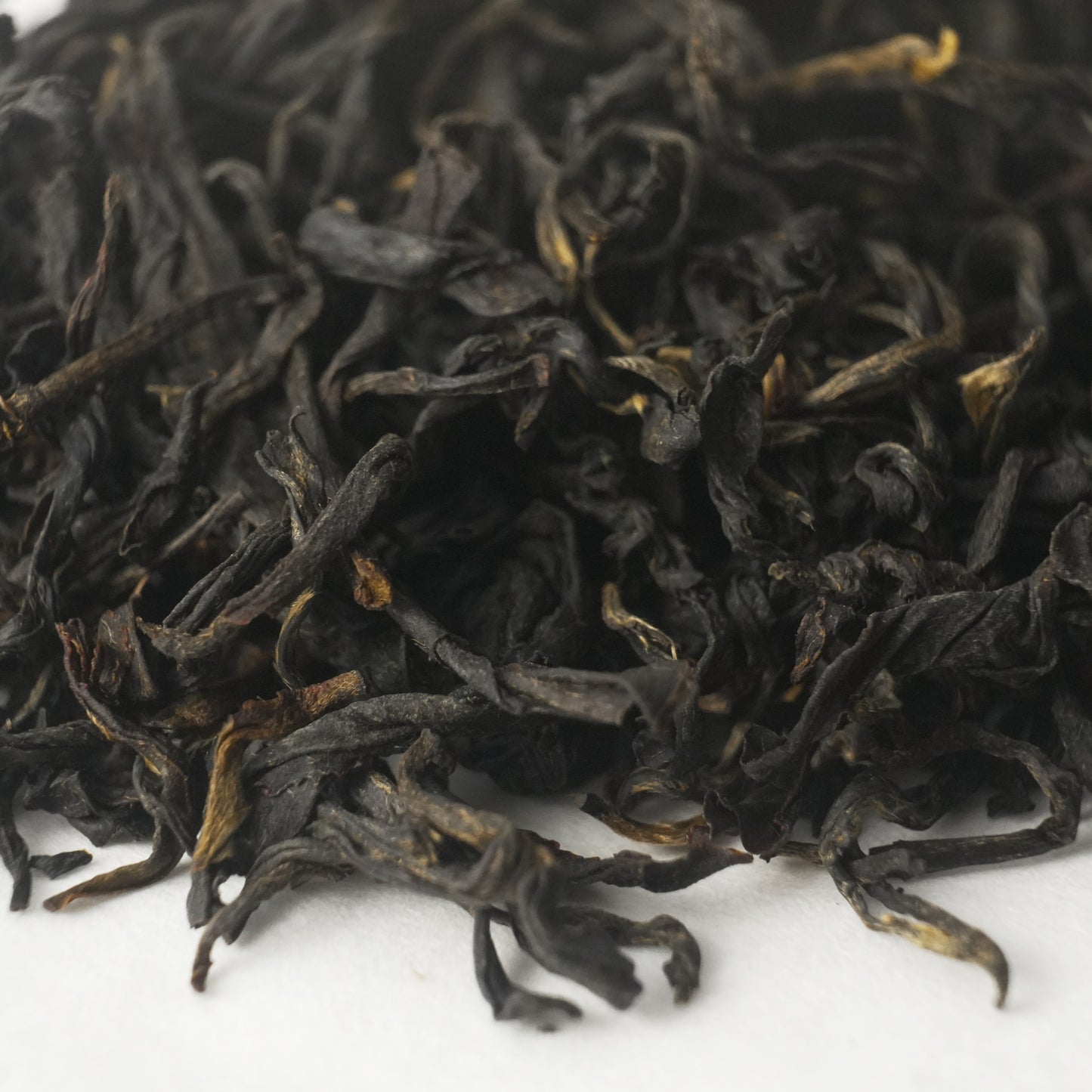 Old Bush Tanyang Gongfu