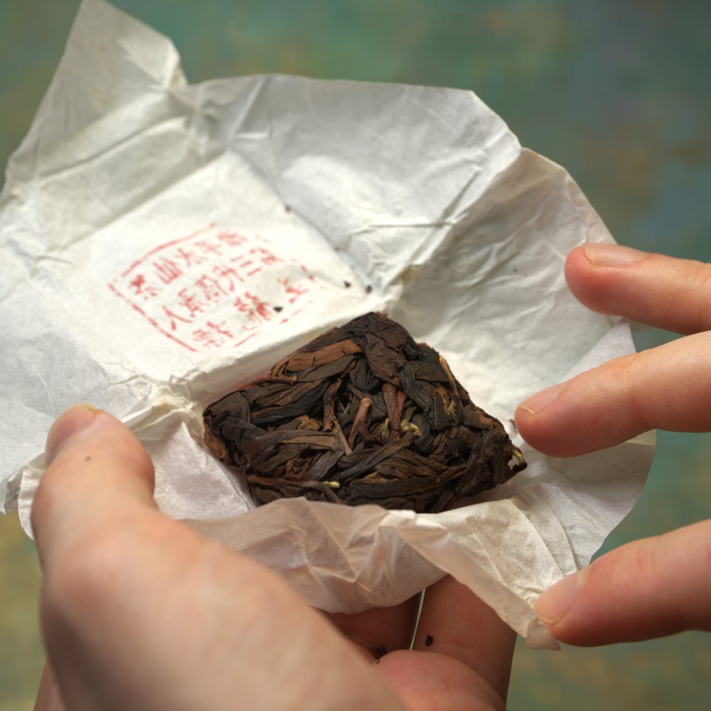 Charcoal Roasted Zhangping Shui Xian