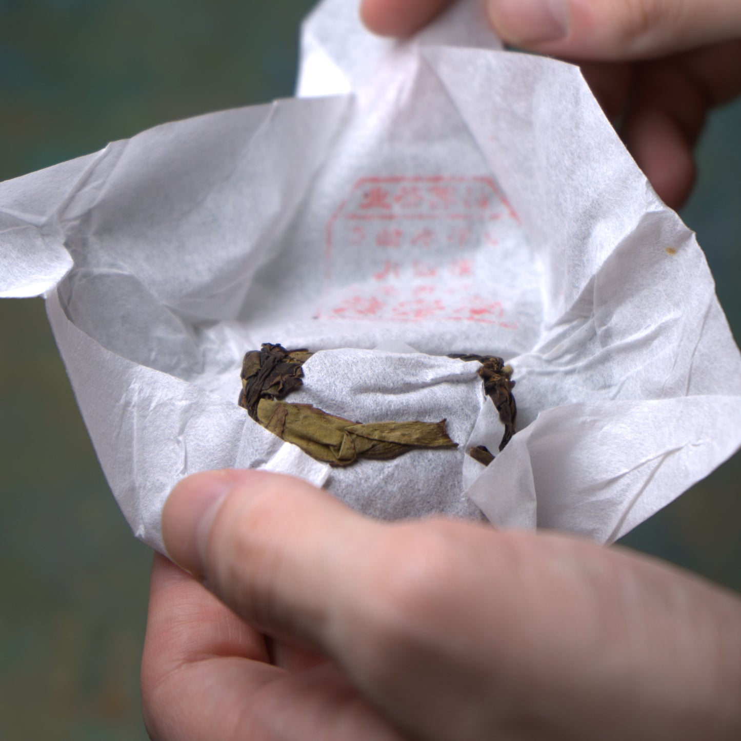 Award-Winning Zhangping Shui Xian (Roasted)
