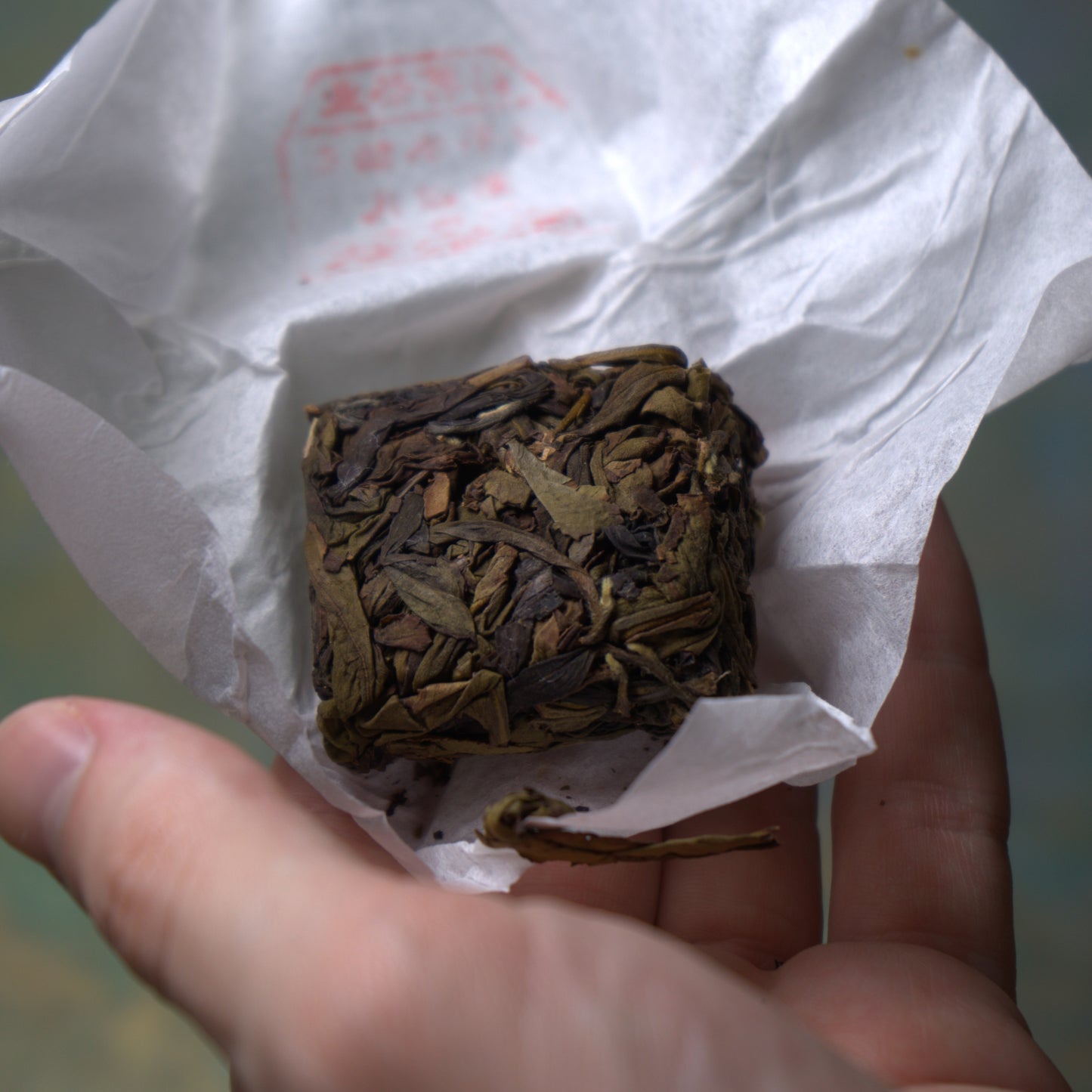 Award-Winning Zhangping Shui Xian (Roasted)