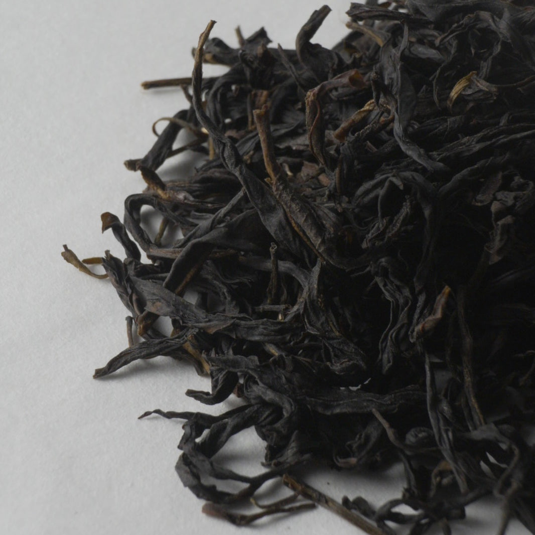 2022 Wudong Yangmei Ye