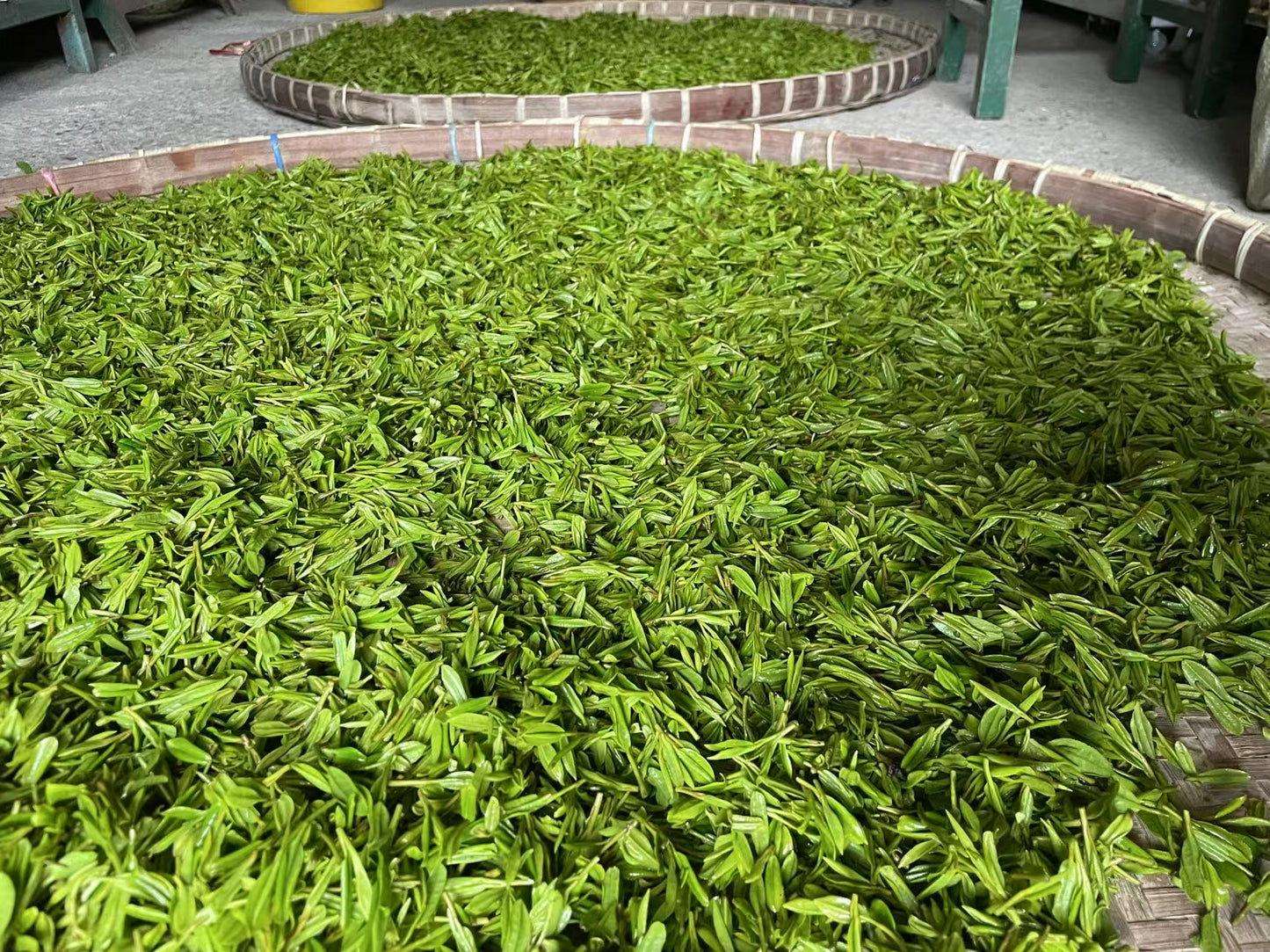 2025 Pre-Qingming Dragonwell