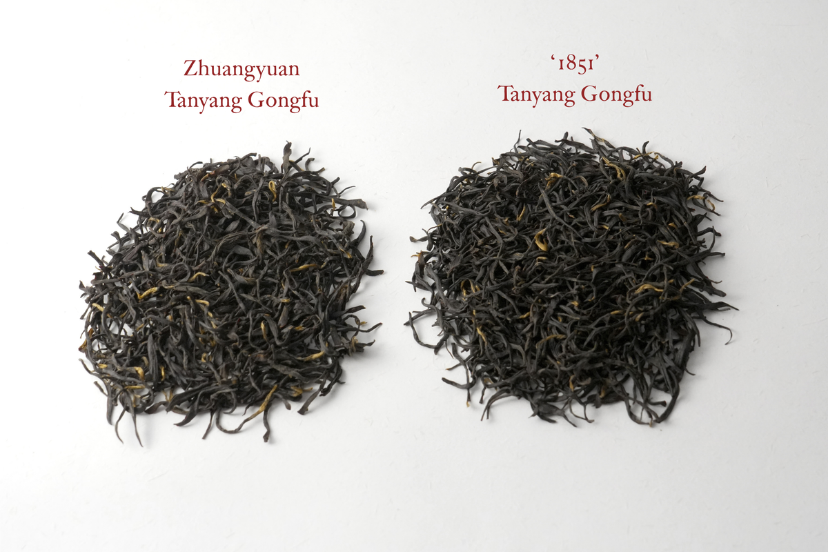 1851 Tanyang Gongfu