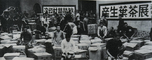Panyong Congou Part 1: History
