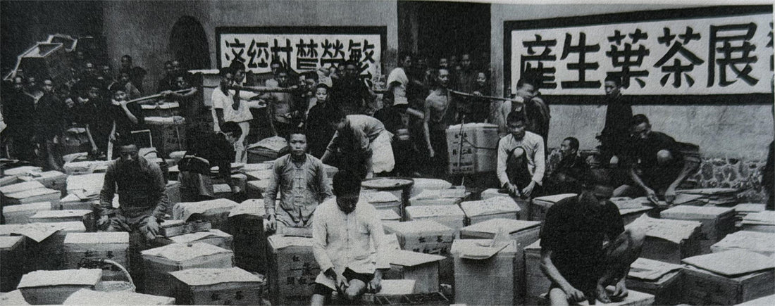 Panyong Congou Part 1: History