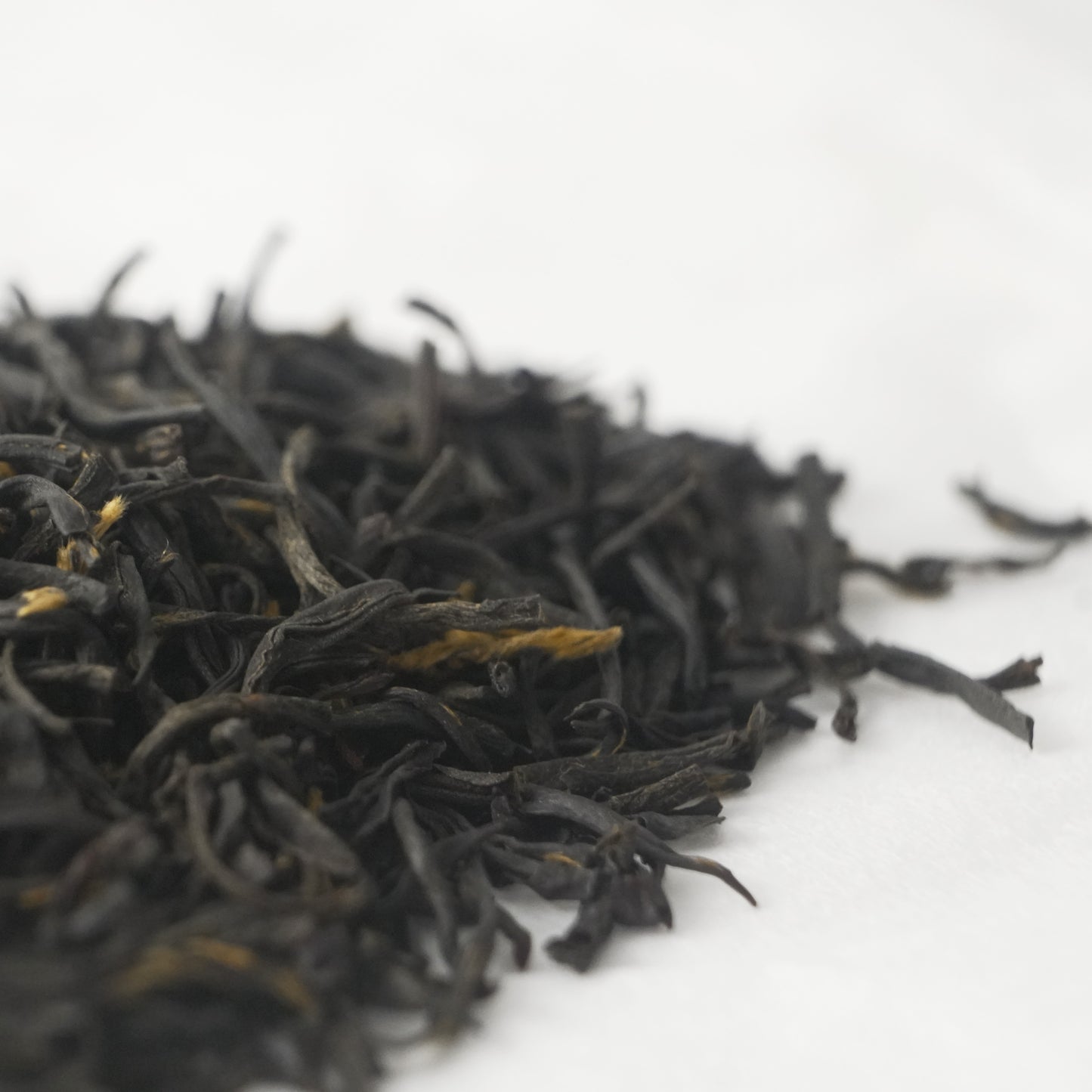 Chen Xiang Tanyang Gongfu
