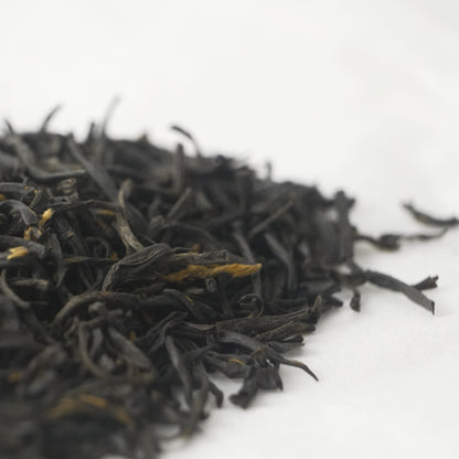 Chen Xiang Tanyang Gongfu