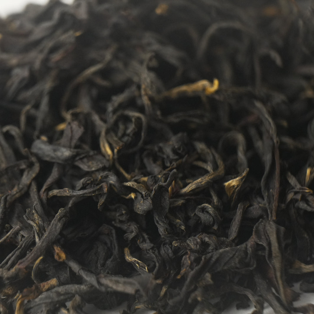 Old Bush Tanyang Gongfu