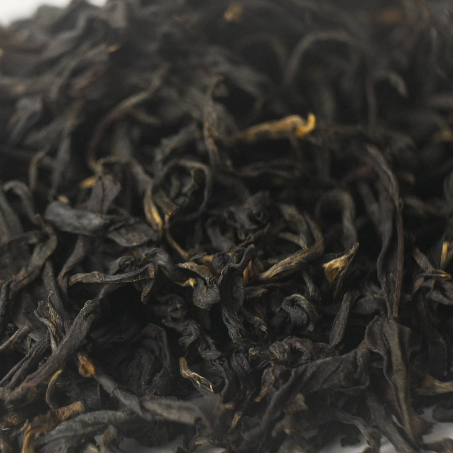 Old Bush Tanyang Gongfu