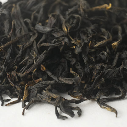 Old Bush Tanyang Gongfu