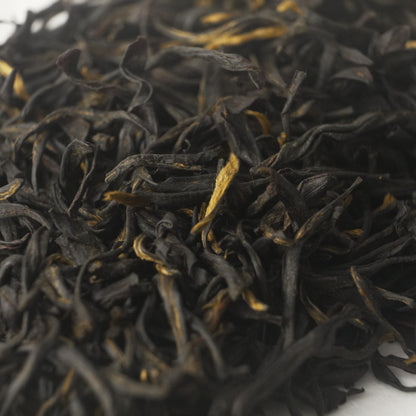 Zhuangyuan Tanyang Gongfu