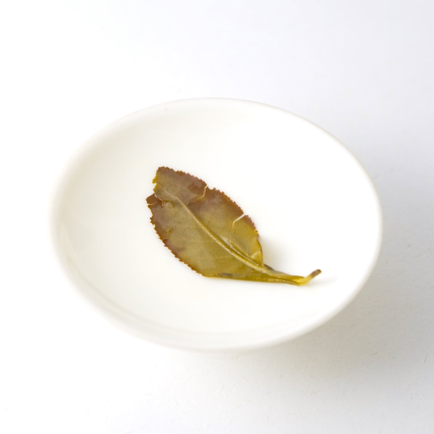 2026 Tall Bush Zhangping Shui Xian