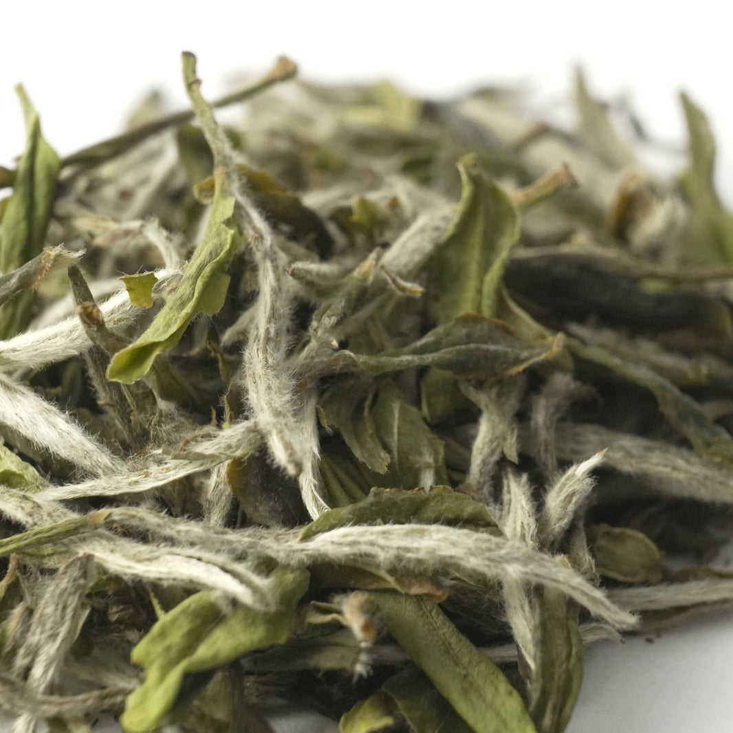 Fu'an Huangye Bai Mu Dan