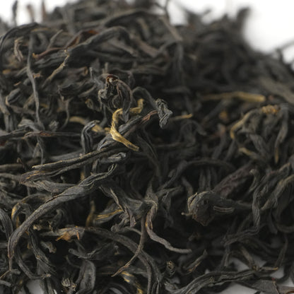 Tanyang Gongfu