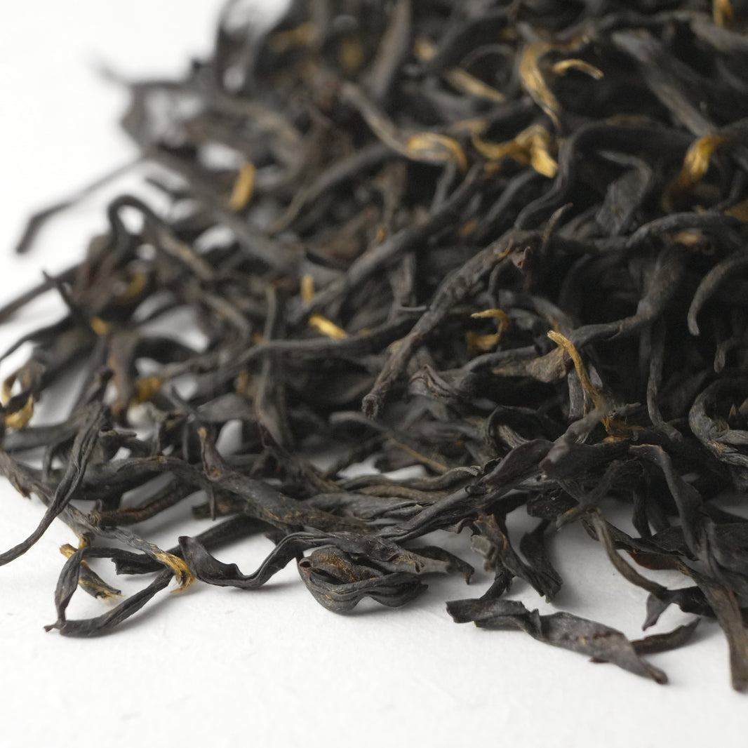 Zhuangyuan Tanyang Gongfu
