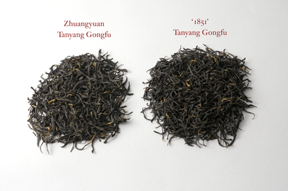 1851 Tanyang Gongfu