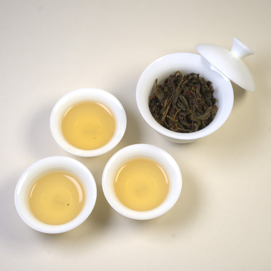 2025 Zhi Lan Xiang