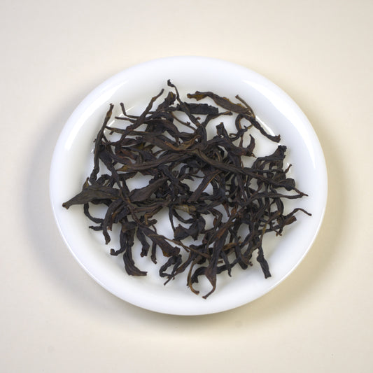 2025 Zhi Lan Xiang