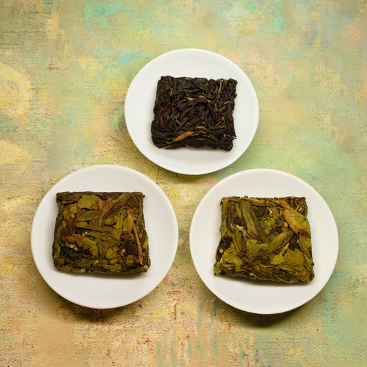 Zhangping Shui Xian Sample Pack