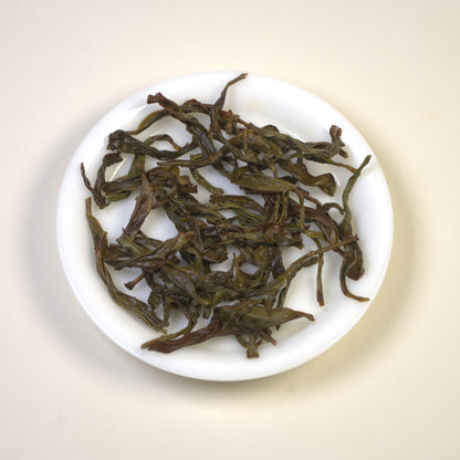2025 Zhi Lan Xiang
